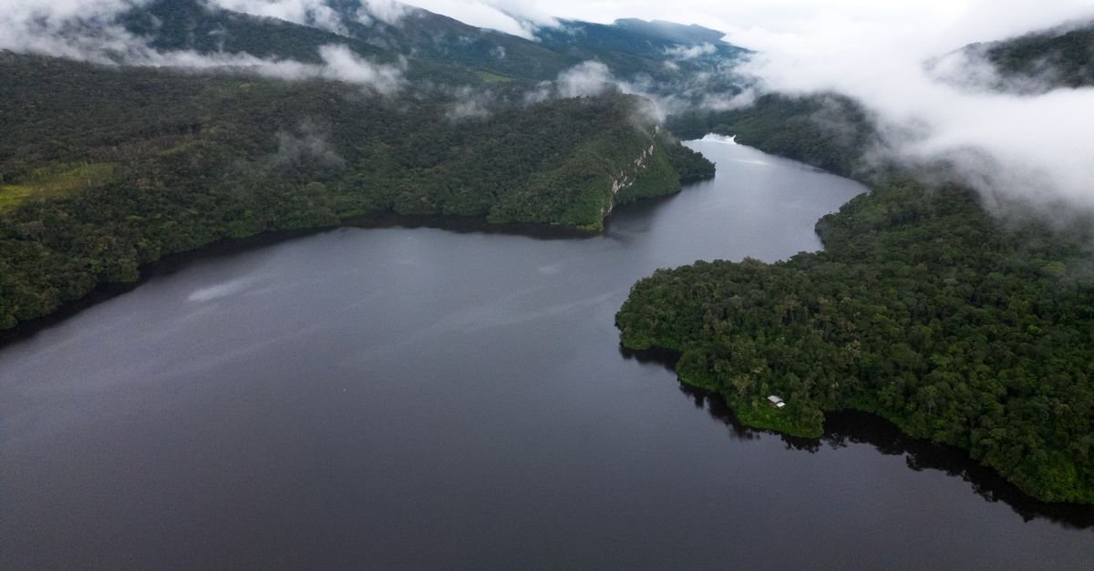 Vista aérea de rio cortando floresta tropical densa sob neblina