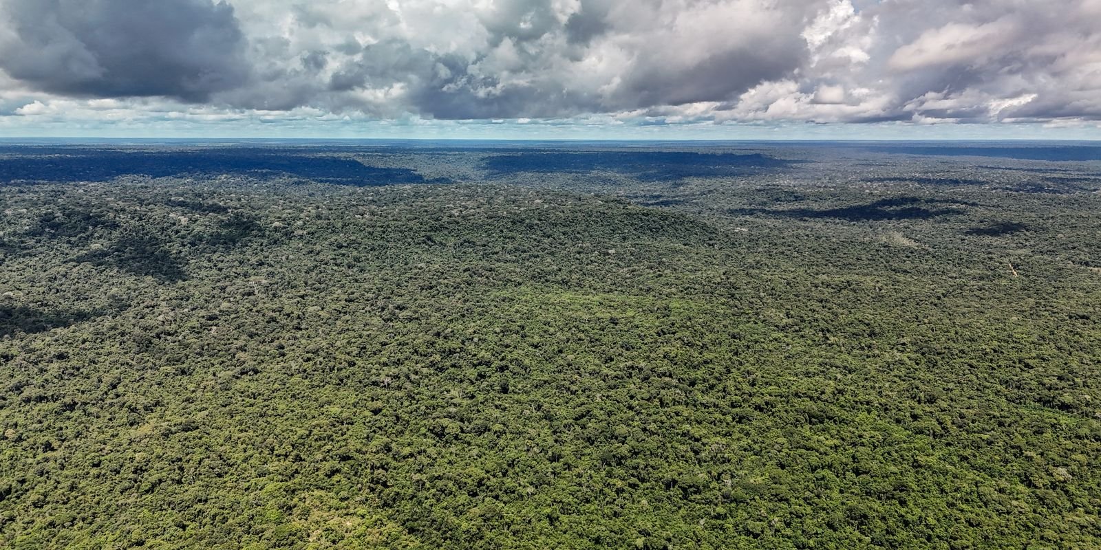 Vista aérea da floresta amazônica com nuvens carregadas no horizonte, na Floresta Nacional do Tapajós, no Pará
