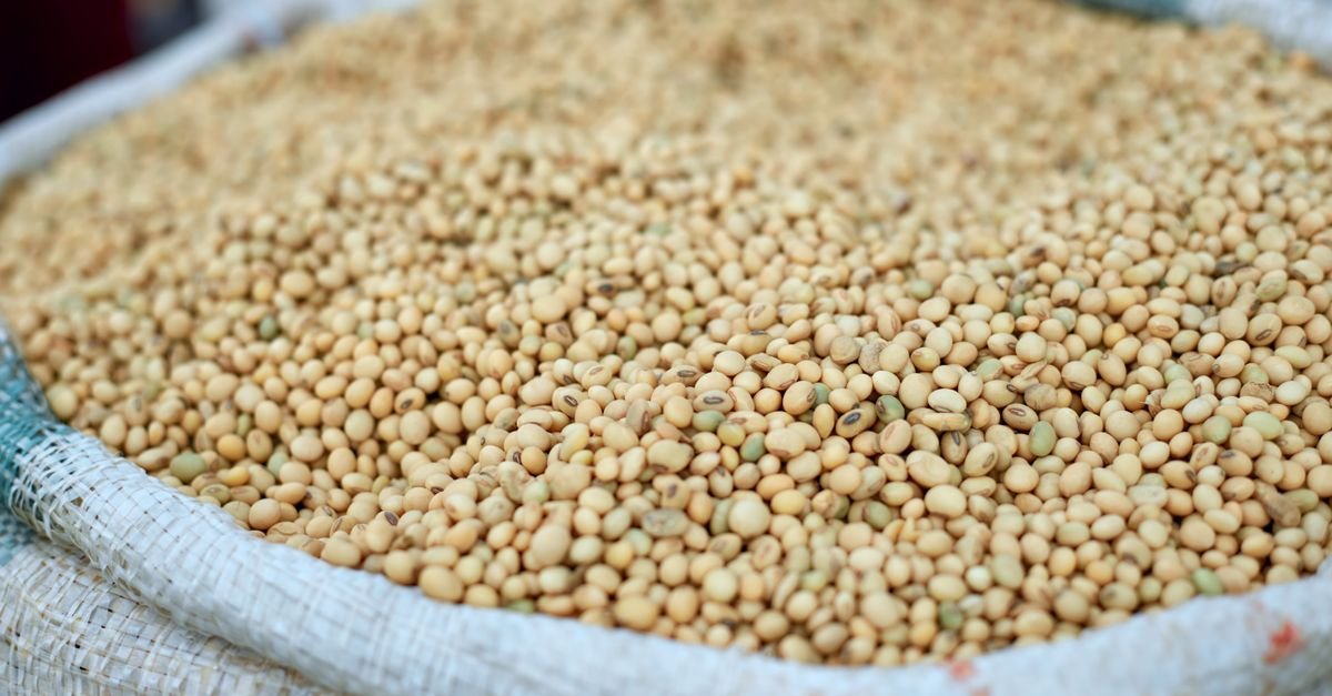 Grãos de soja armazenados em saca, principal produto da pauta de exportação brasileira