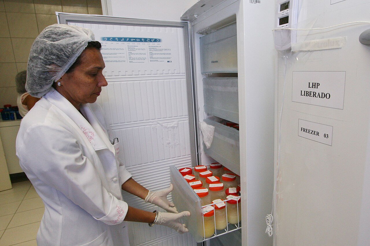 Técnica de jaleco retira frascos de leite humano pasteurizado de freezer em banco de leite
