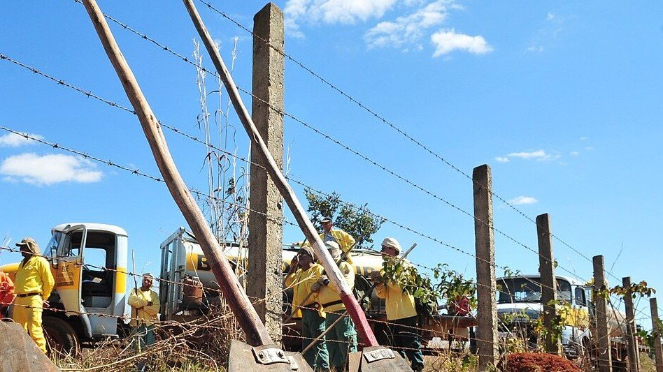 Brigadistas de uniforme amarelo com abafadores durante combate a incêndio em vegetação no Distrito Federal