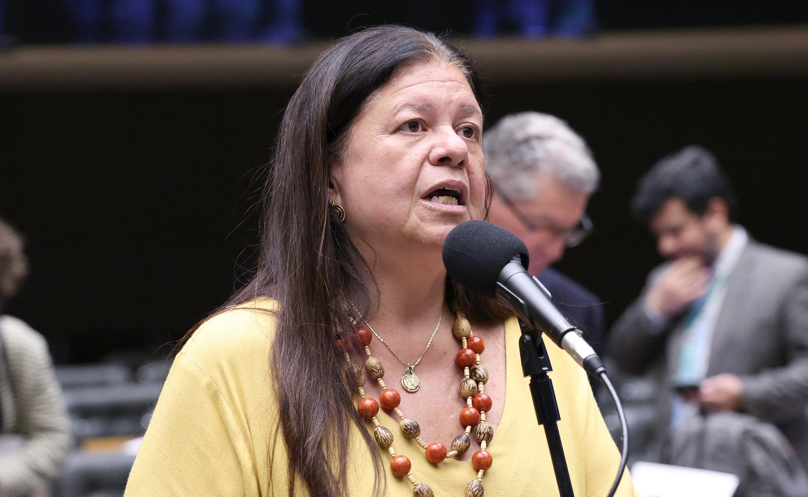 Deputada Laura Carneiro fala ao microfone no plenário da Câmara dos Deputados