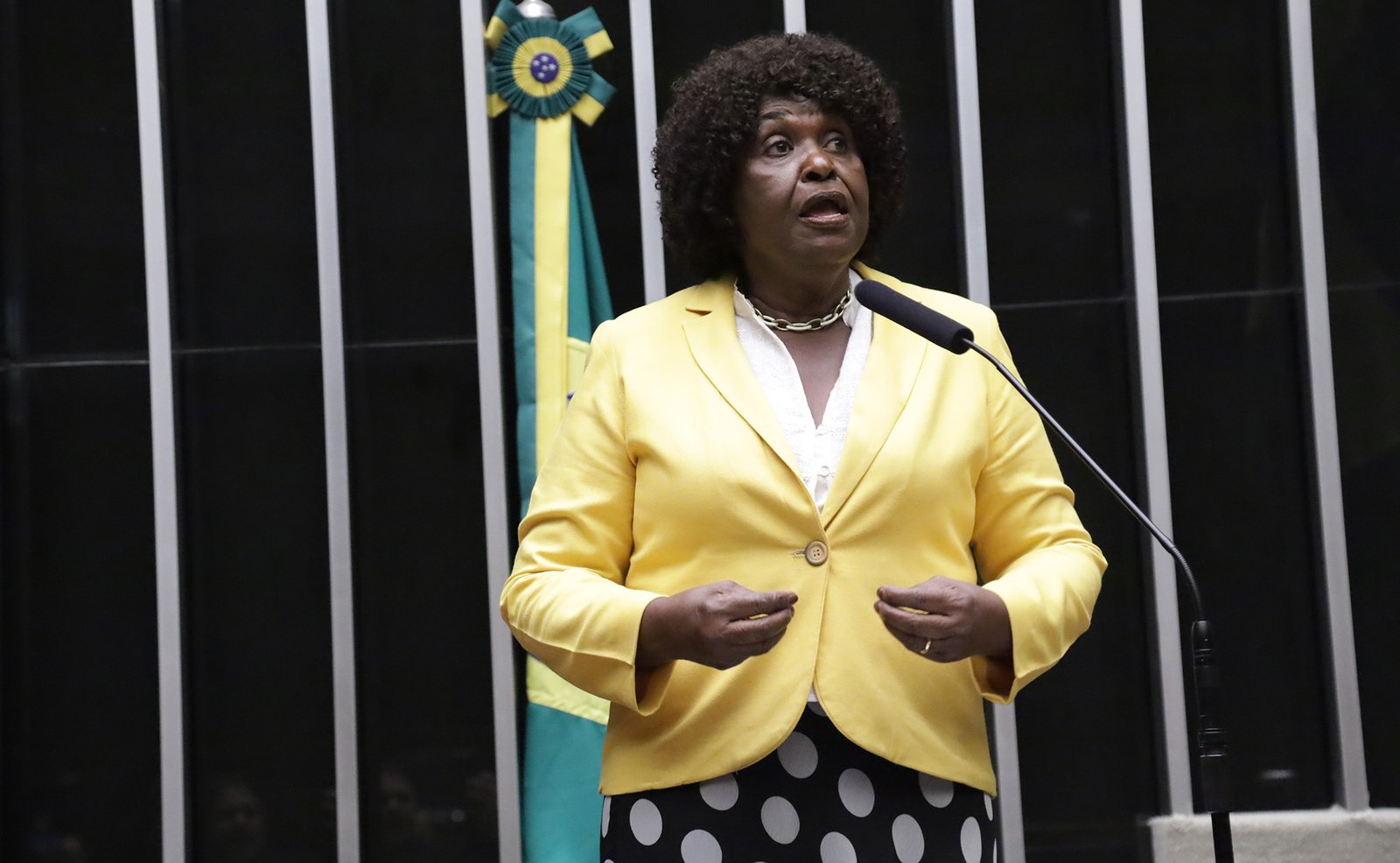 Parlamentar discursa na tribuna do Plenario da Camara dos Deputados, com a bandeira do Brasil ao fundo