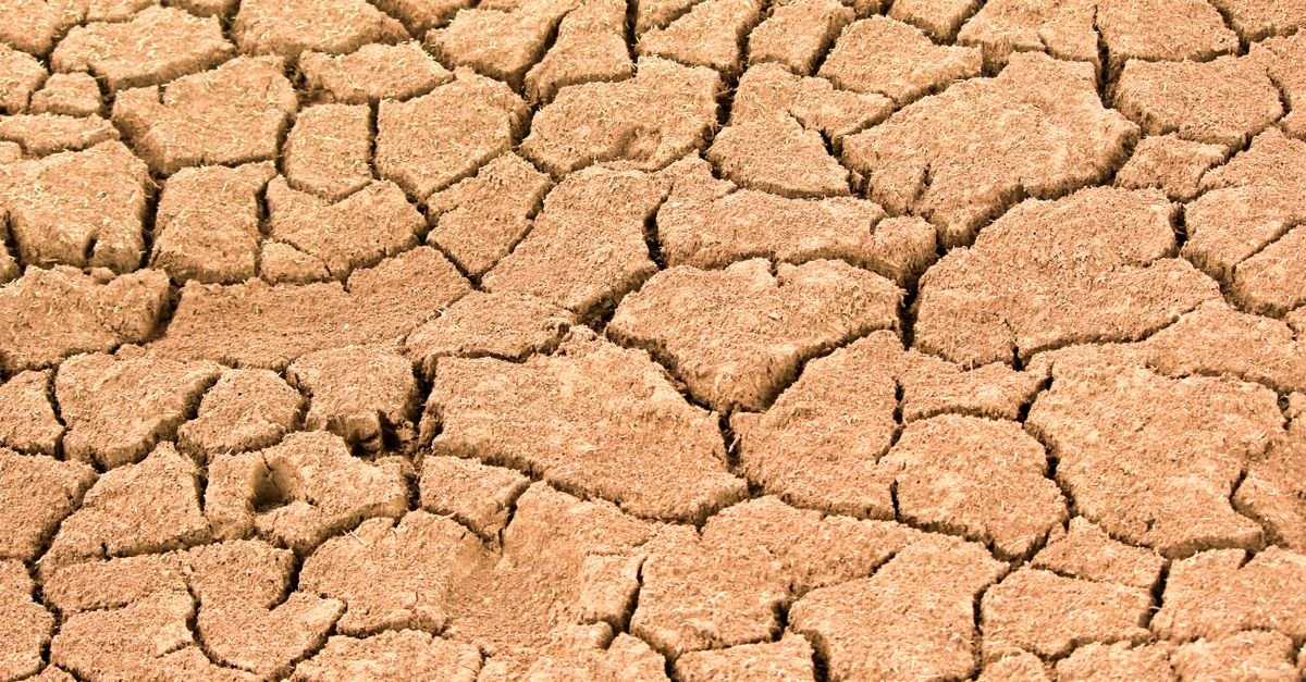 Solo seco e rachado em área de terra degradada