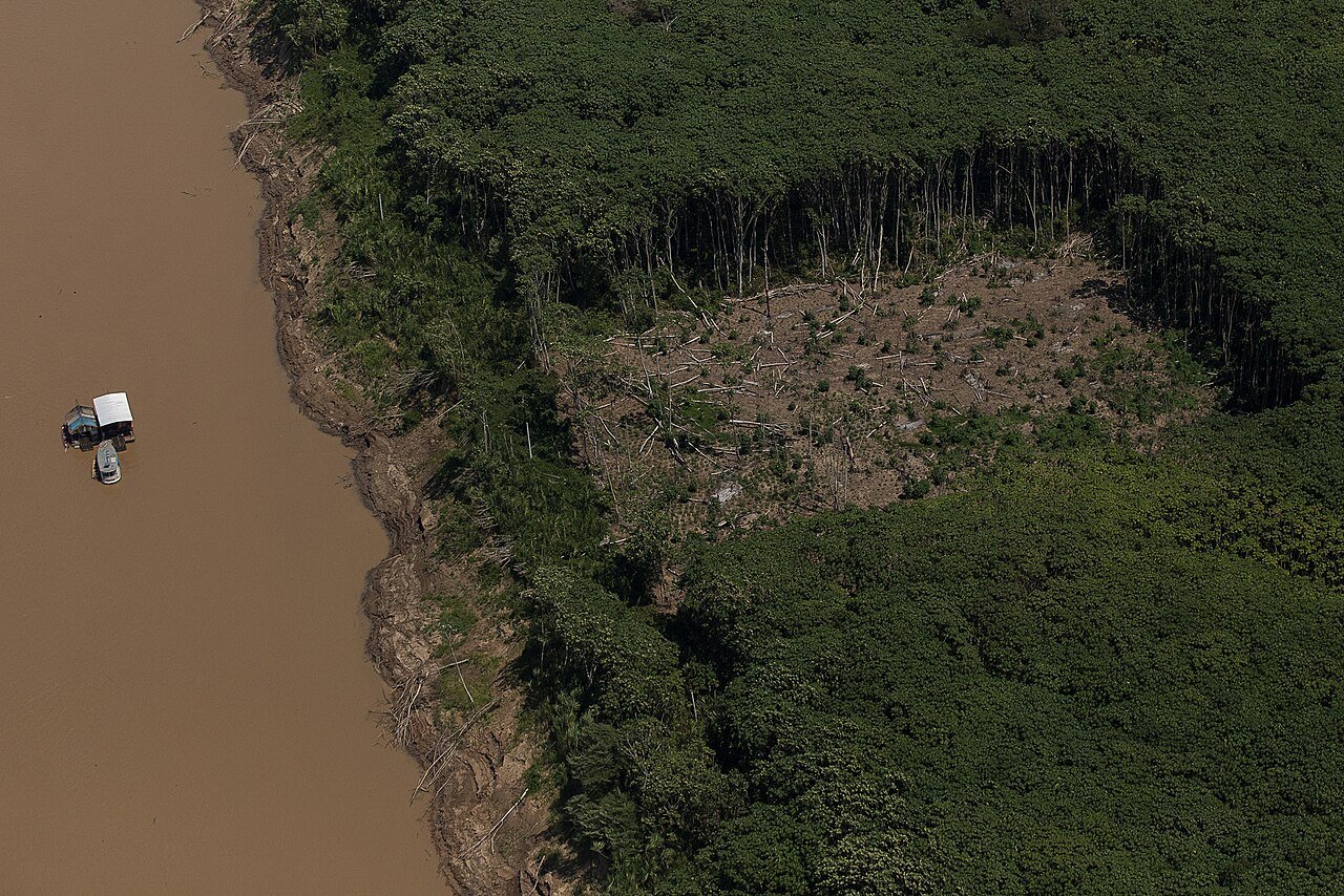 Vista aérea de trecho de floresta amazônica às margens de um rio, com clareira de área desmatada e troncos caídos