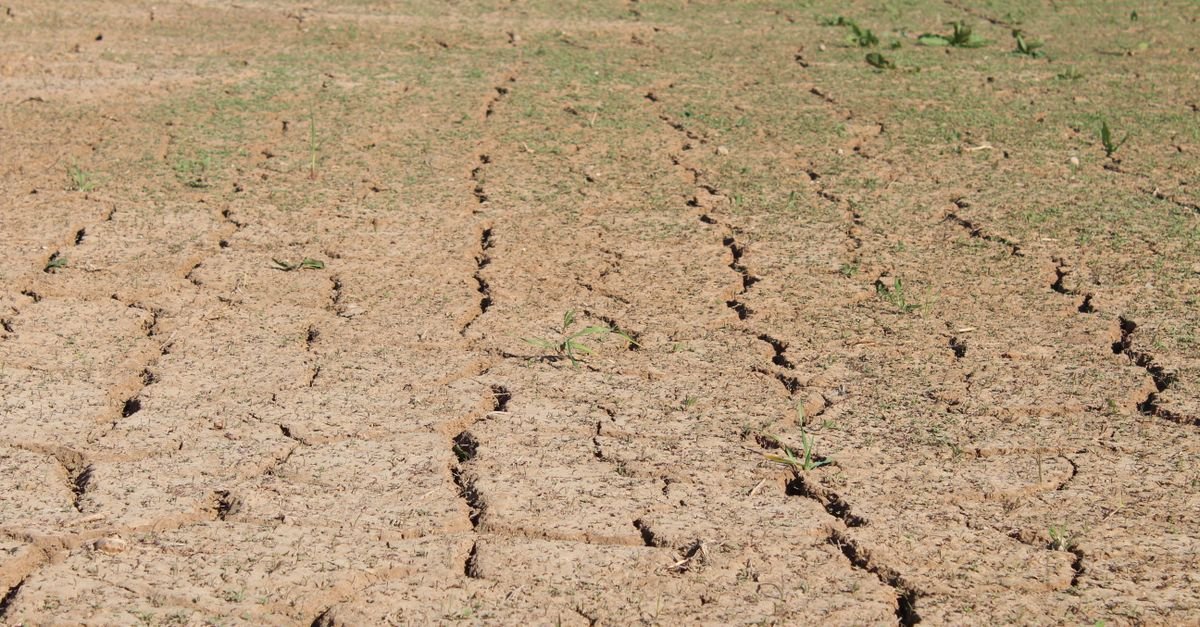 Solo rachado por falta de chuva sob sol forte, imagem que ilustra o período de seca no Distrito Federal