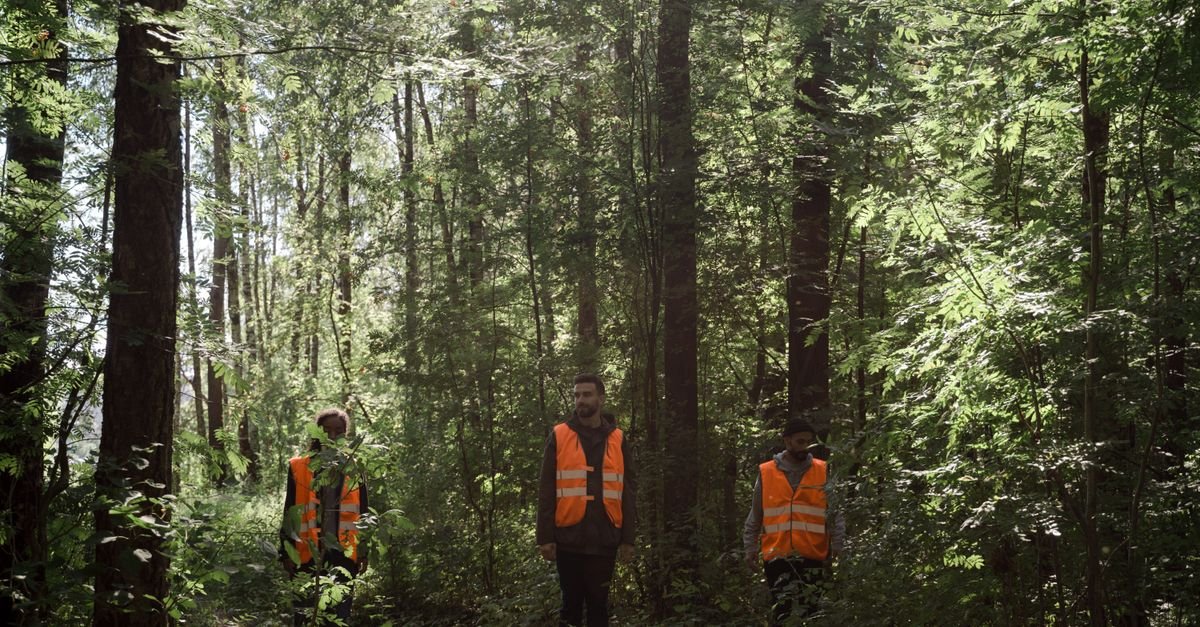 Group of workers in orange safety vests walking through a lush forest.