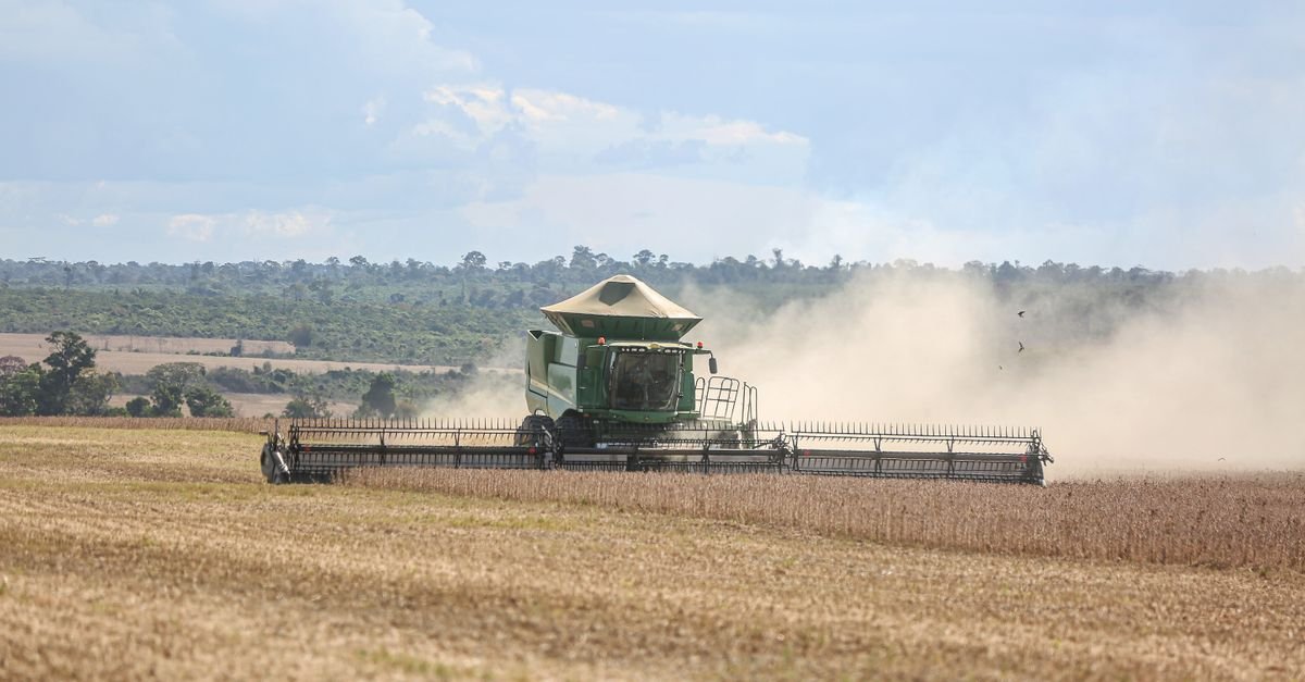 A combine harvester works on a vast soybean field in Paragominas, capturing Brazilian agriculture.