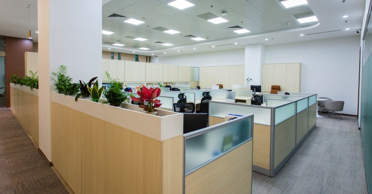 Spacious and bright open office area with cubicles, plants, and contemporary design.