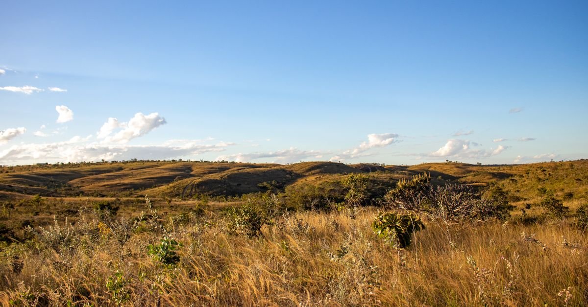 A picturesque landscape of Brazilian grassland hills under a clear blue sky.
