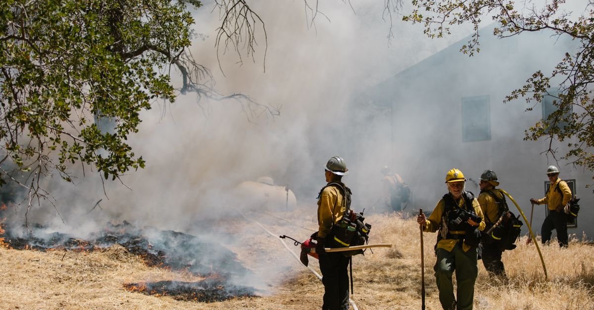 Firefighters in protective gear fighting a grass fire in a forest area with visible smoke.