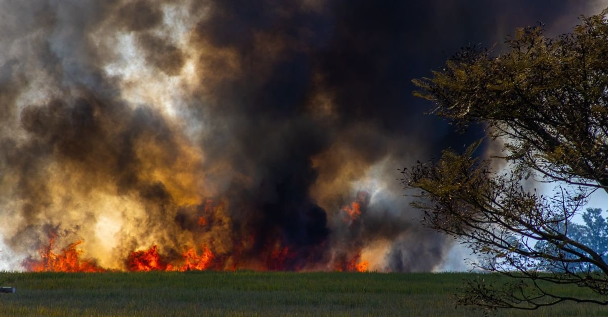 Fogo e fumaça densa em área de vegetação seca