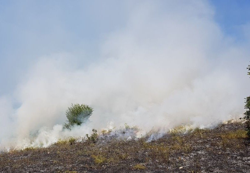 Fumaça densa subindo de área de vegetação rasteira queimada, com trecho de mato ainda verde ao fundo