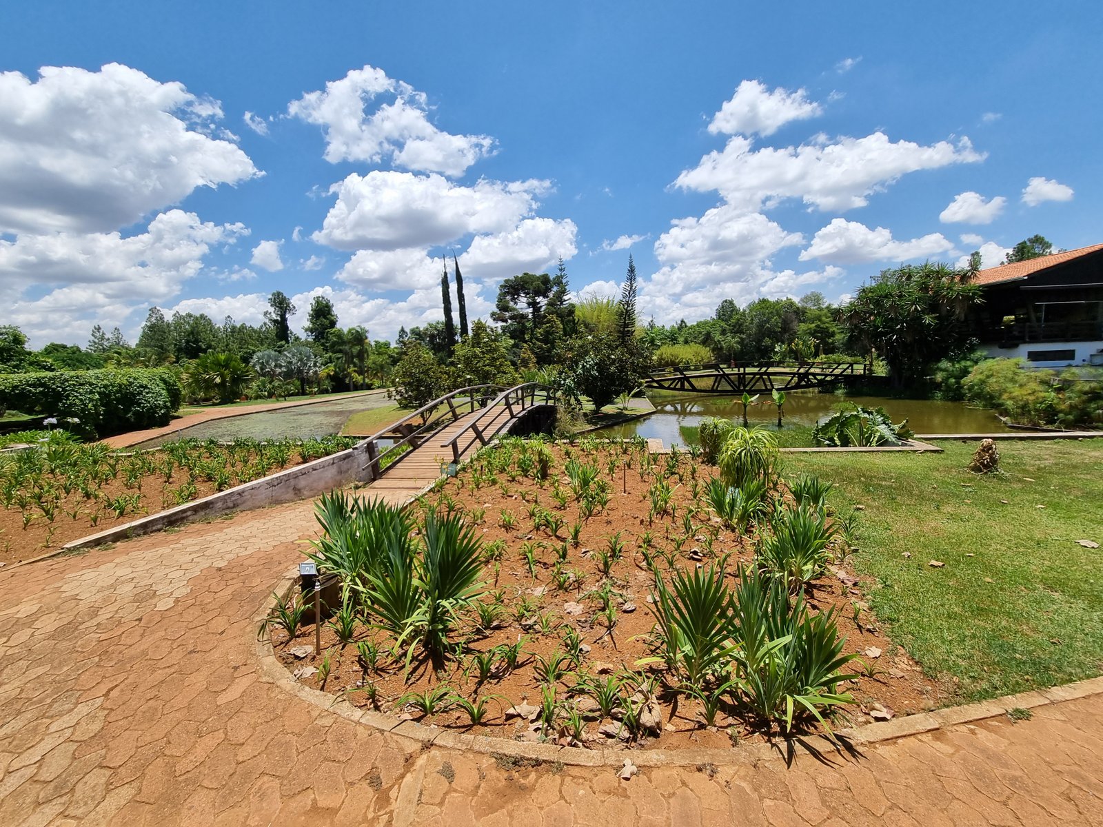 Viaduto do Jardim Botânico obras DF