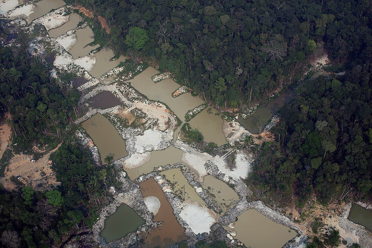 Vista aérea de área de garimpo em meio à floresta no Pará, com cavas e sedimentos