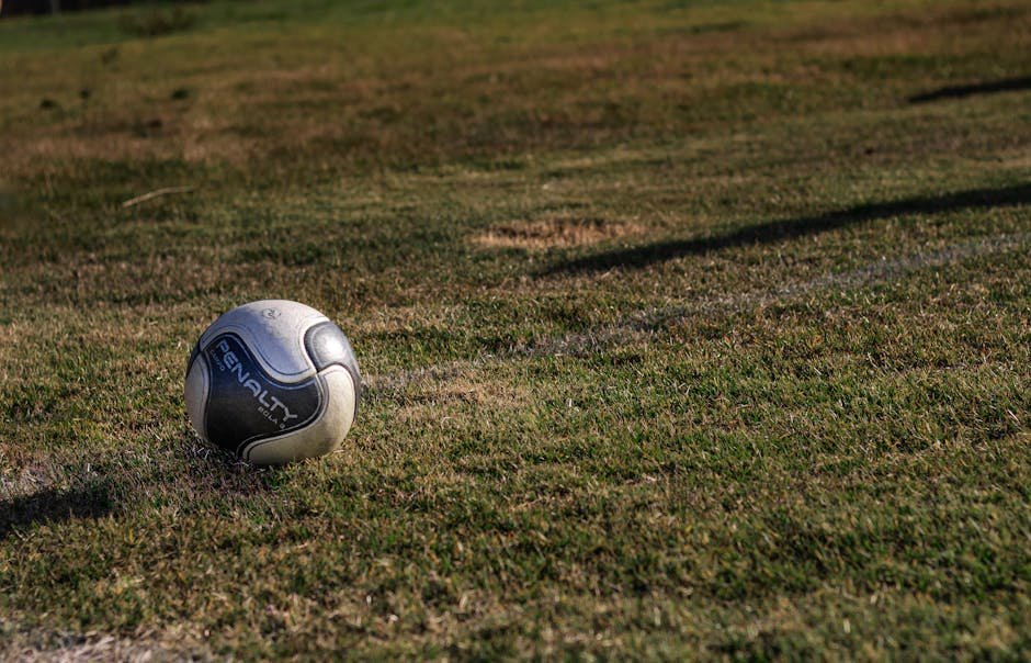 Bola de futebol em campo iluminado em estadio
