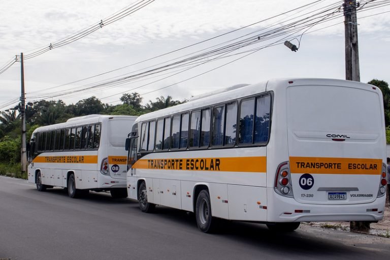Dois ônibus brancos com faixa laranja e a inscrição Transporte Escolar estacionados na via