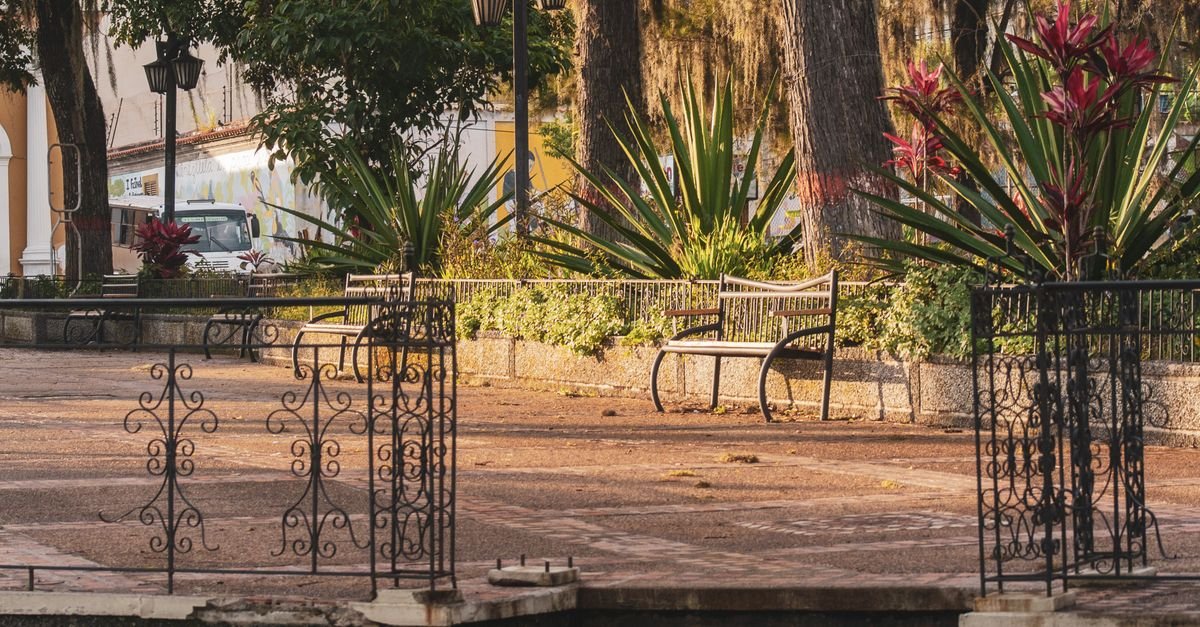 Bancos vazios em praça arborizada de área urbana no fim da tarde
