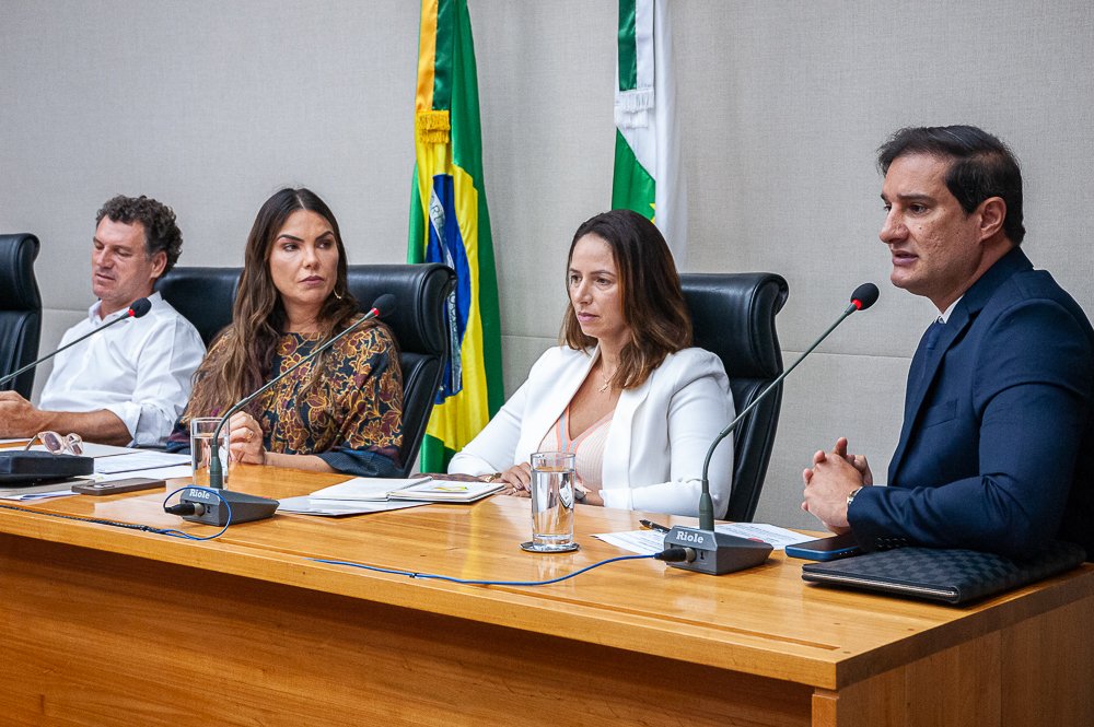 Mesa de audiência pública no auditório da Câmara Legislativa do Distrito Federal, com bandeiras do Brasil e do DF ao fundo